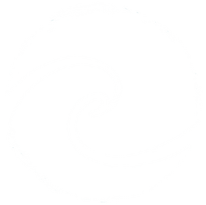 enervida logo